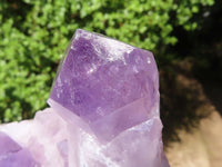 Natural Jacaranda Amethyst Quartz Cluster  x 1 From Zambia - Toprock Gemstones and Minerals 