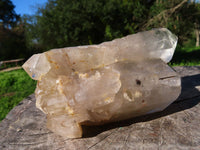 Natural Arcadian Angolan Multi Terminated Quartz Crystal x 1 From Angola - TopRock