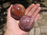 Polished Petrified Red Podocarpus Wood Spheres  x 3 From Mahajanga, Madagascar - TopRock