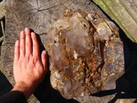 Polished Massive Skeletal Window Quartz Crystal x 1 From Akansobe, Madagascar - TopRock