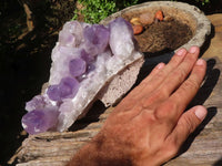 Natural Jacaranda Amethyst Quartz Cluster  x 1 From Zambia - Toprock Gemstones and Minerals 