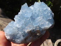 Natural Blue Celestite Crystal Specimens  x 3 From Sakoany, Madagascar - Toprock Gemstones and Minerals 