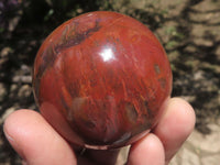 Polished Petrified Red Podocarpus Wood Spheres  x 3 From Mahajanga, Madagascar - TopRock