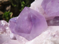 Natural Jacaranda Amethyst Quartz Cluster  x 1 From Zambia - Toprock Gemstones and Minerals 