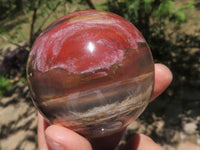 Polished Petrified Red Podocarpus Wood Spheres  x 3 From Mahajanga, Madagascar - TopRock