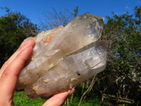 Natural Arcadian Angolan Multi Terminated Quartz Crystal x 1 From Angola - TopRock