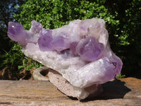 Natural Jacaranda Amethyst Quartz Cluster  x 1 From Zambia - Toprock Gemstones and Minerals 