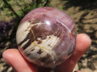 Polished Petrified Red Podocarpus Wood Spheres  x 3 From Mahajanga, Madagascar - TopRock