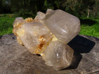 Natural Arcadian Angolan Multi Terminated Quartz Crystal x 1 From Angola - TopRock