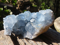 Natural Blue Celestite Crystal Specimens  x 3 From Sakoany, Madagascar - Toprock Gemstones and Minerals 