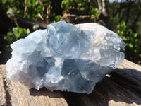 Natural Blue Celestite Crystal Specimens  x 3 From Sakoany, Madagascar - Toprock Gemstones and Minerals 