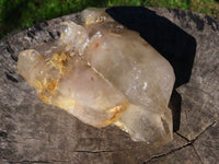 Natural Arcadian Angolan Multi Terminated Quartz Crystal x 1 From Angola - TopRock