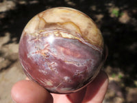 Polished Petrified Red Podocarpus Wood Spheres  x 3 From Mahajanga, Madagascar - TopRock