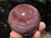 Polished Petrified Red Podocarpus Wood Spheres  x 3 From Mahajanga, Madagascar - TopRock