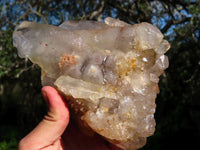 Natural Arcadian Angolan Multi Terminated Quartz Crystal x 1 From Angola - TopRock