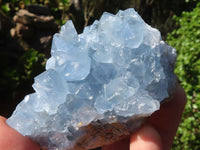 Natural Blue Celestite Crystal Specimens  x 3 From Sakoany, Madagascar - Toprock Gemstones and Minerals 