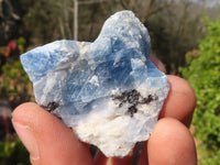 Natural New Sky Blue Calcite Specimens  x 35 From Spitzkop, Namibia