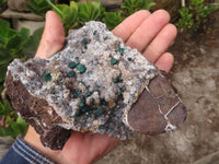 Natural Rare Ball Malachite On Drusi Quartz & Dolomite Matrix  x 1 From Kambove, Congo - Toprock Gemstones and Minerals 