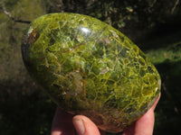 Polished Vibrant Green Opal Standing Free Forms x 3 From Antsirabe, Madagascar - TopRock