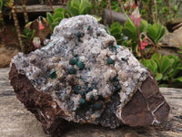 Natural Rare Ball Malachite On Drusi Quartz & Dolomite Matrix  x 1 From Kambove, Congo - Toprock Gemstones and Minerals 