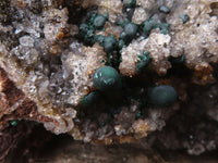 Natural Rare Ball Malachite On Drusi Quartz & Dolomite Matrix  x 1 From Kambove, Congo - Toprock Gemstones and Minerals 