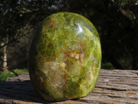 Polished Vibrant Green Opal Standing Free Forms x 3 From Antsirabe, Madagascar - TopRock