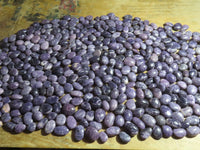 Polished Highly Selected Lepidolite (Lithium Mica) Gallets or Palm Stones - sold per Kg - From Madagascar - TopRock