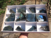 Polished Half Polished Labradorite Slabs  x 12 From Madagascar - TopRock