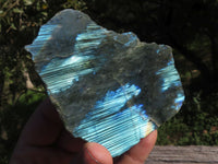 Polished Half Polished Labradorite Slabs  x 12 From Madagascar - TopRock