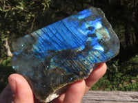 Polished Half Polished Labradorite Slabs  x 12 From Madagascar - TopRock