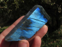 Polished Half Polished Labradorite Slabs  x 12 From Madagascar - TopRock