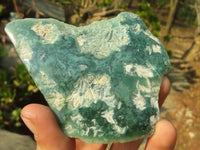 Polished One Side Polished Emerald Mtorolite Plates  x 12 From Mutorashanga, Zimbabwe