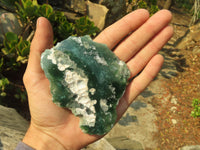 Polished One Side Polished Emerald Mtorolite Plates  x 12 From Mutorashanga, Zimbabwe