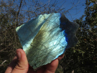 Polished Half Polished Labradorite Slabs  x 12 From Madagascar - TopRock