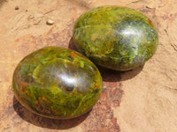 Polished Green Opal Palm Stones  x 12 From Madagascar - TopRock