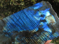 Polished Half Polished Labradorite Slabs  x 12 From Madagascar - TopRock