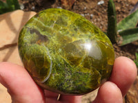 Polished Green Opal Palm Stones  x 12 From Madagascar - TopRock