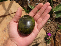 Polished Green Opal Palm Stones  x 12 From Madagascar - TopRock