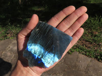 Polished Half Polished Labradorite Slabs  x 12 From Madagascar - TopRock