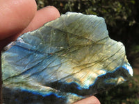 Polished Half Polished Labradorite Slabs  x 12 From Madagascar - TopRock