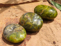 Polished Green Opal Palm Stones  x 12 From Madagascar - TopRock