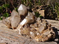 Natural White Phantom Hematoid Quartz Cluster  x 1 From Madagascar