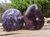 Polished Deep Purple Lepidolite Standing Free Forms  x 2 From Zimbabwe - Toprock Gemstones and Minerals 