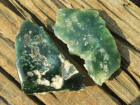 Polished One Side Polished Emerald Mtorolite Plates  x 12 From Mutorashanga, Zimbabwe