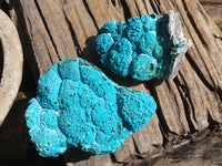 Natural Blue Chrysocolla On Silky Malachite Matrix Specimens  x 2 From Kulukuluku, Congo - Toprock Gemstones and Minerals 