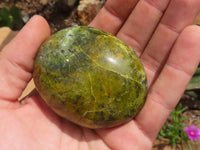 Polished Green Opal Palm Stones  x 12 From Madagascar - TopRock