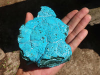 Natural Blue Chrysocolla On Silky Malachite Matrix Specimens  x 2 From Kulukuluku, Congo - Toprock Gemstones and Minerals 