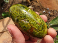 Polished Green Opal Palm Stones  x 12 From Madagascar - TopRock