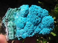 Natural Blue Chrysocolla On Silky Malachite Matrix Specimens  x 2 From Kulukuluku, Congo - Toprock Gemstones and Minerals 