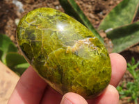 Polished Green Opal Palm Stones  x 12 From Madagascar - TopRock